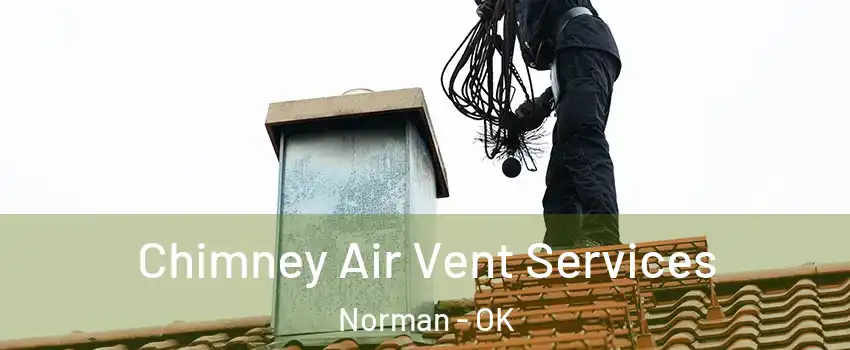 Chimney Air Vent Services Norman - OK
