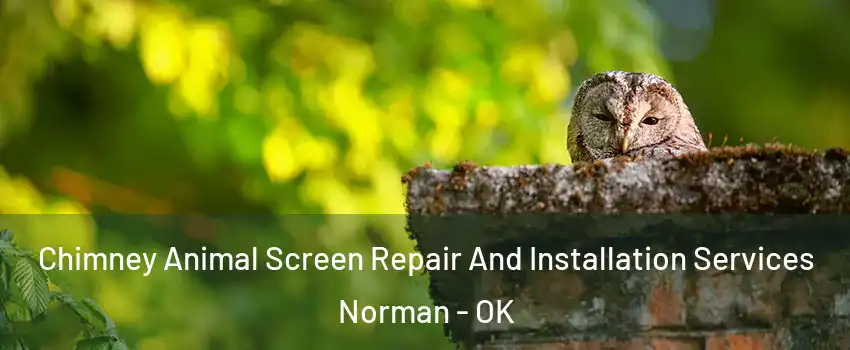 Chimney Animal Screen Repair And Installation Services Norman - OK
