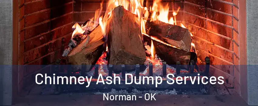 Chimney Ash Dump Services Norman - OK