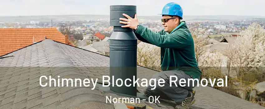 Chimney Blockage Removal Norman - OK