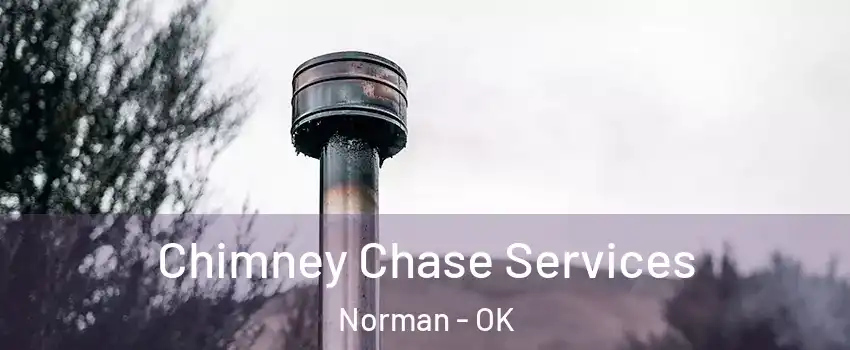 Chimney Chase Services Norman - OK