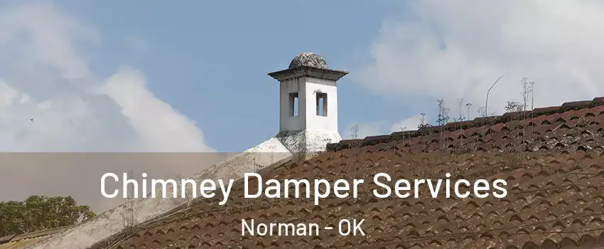 Chimney Damper Services Norman - OK