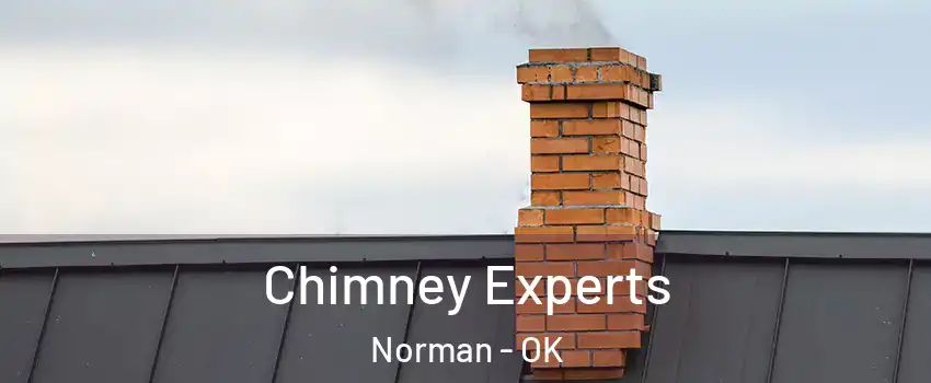 Chimney Experts Norman - OK