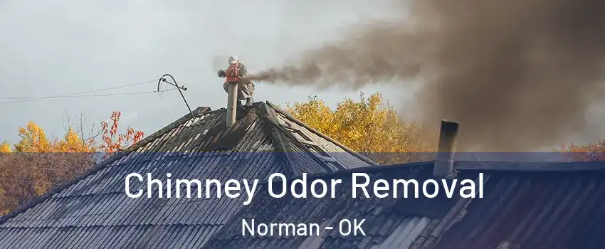 Chimney Odor Removal Norman - OK
