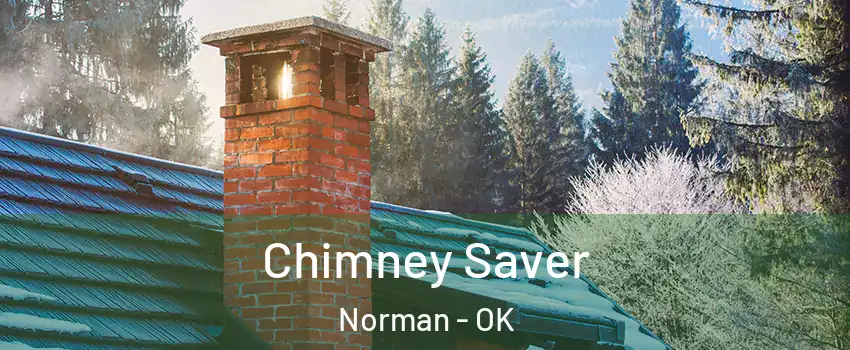 Chimney Saver Norman - OK