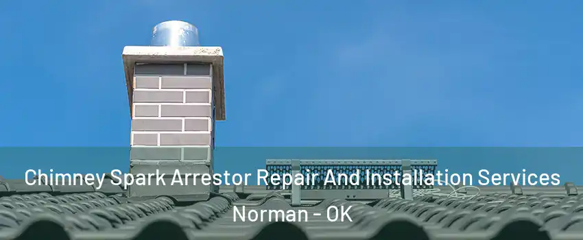 Chimney Spark Arrestor Repair And Installation Services Norman - OK