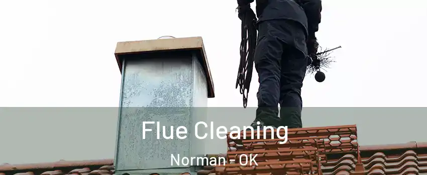 Flue Cleaning Norman - OK