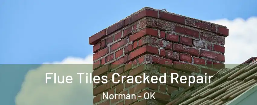 Flue Tiles Cracked Repair Norman - OK