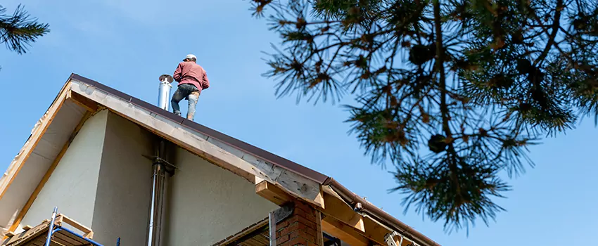 Birds Removal Contractors from Chimney in Norman, OK