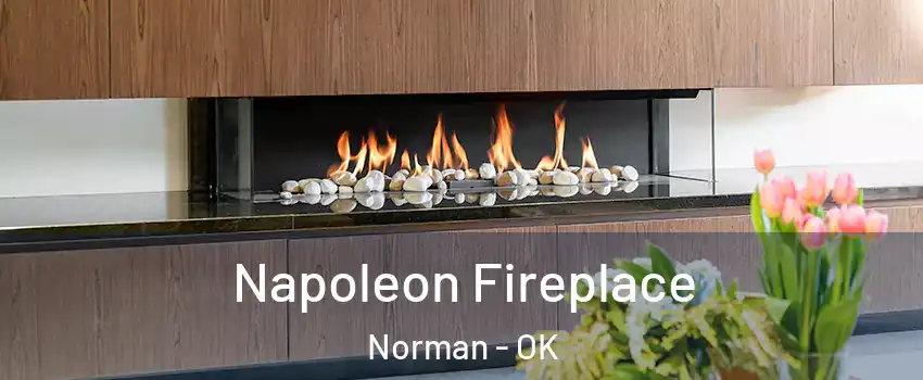 Napoleon Fireplace Norman - OK